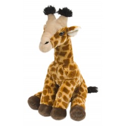 Giraffe Baby gross